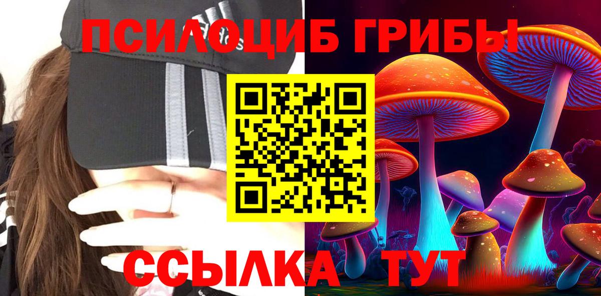 Златоуст  Галлюциногенные грибы MAGIC MUSHROOMS  Галлюциногенные грибы ЛСД  Вход с VPN 