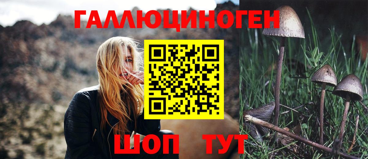 Псилоцибиновые грибы MAGIC MUSHROOMS Златоуст